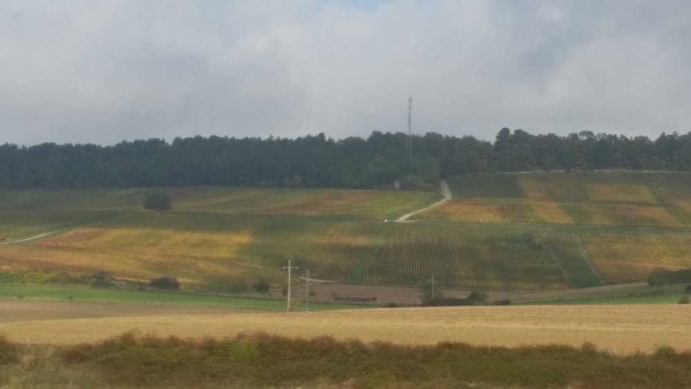 Aire camping-car  Rouvres-les-Vignes (10200) - Photo 2